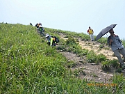pic_Wai_182.jpg (430511 bytes)