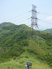 pic_Wai_184.jpg (339478 bytes)