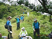 pic_Wai_186.jpg (564499 bytes)