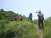 pic_Wai_187.jpg (369725 bytes)