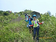 pic_Wai_188.jpg (452401 bytes)