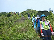 pic_Wai_189.jpg (405352 bytes)