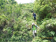 pic_Wai_193.jpg (637462 bytes)