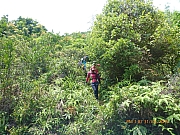 pic_Wai_194.jpg (593235 bytes)