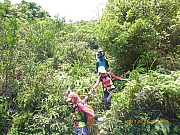 pic_Wai_195.jpg (611846 bytes)