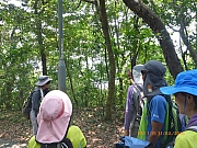 pic_Wai_199.jpg (498228 bytes)