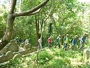 pic_Wai_207.jpg (535732 bytes)