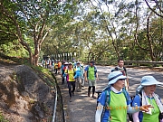 pic_Wai_007.jpg (560264 bytes)