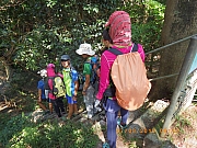 pic_Wai_009.jpg (438112 bytes)