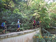 pic_Wai_010.jpg (486341 bytes)