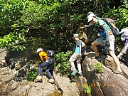 pic_Wai_015.jpg (556030 bytes)