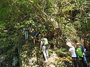 pic_Wai_026.jpg (584657 bytes)