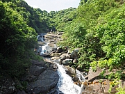 pic_Wai_028.jpg (531136 bytes)