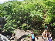 pic_Wai_032.jpg (634541 bytes)