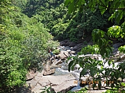 pic_Wai_035.jpg (561346 bytes)