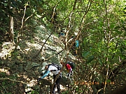 pic_Wai_037.jpg (567645 bytes)