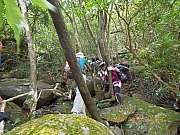 pic_Wai_058.jpg (463720 bytes)