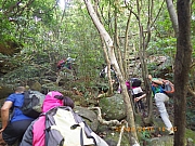 pic_Wai_059.jpg (398602 bytes)