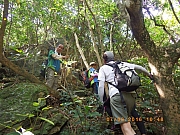 pic_Wai_061.jpg (507351 bytes)