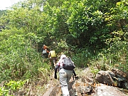 pic_Wai_067.jpg (632317 bytes)