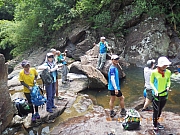 pic_Wai_071.jpg (420456 bytes)