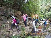 pic_Wai_117.jpg (558097 bytes)