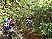 pic_Wai_126.jpg (574360 bytes)