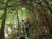 pic_Wai_128.jpg (556806 bytes)