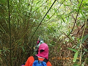 pic_Wai_129.jpg (506669 bytes)