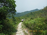 pic_Wai_140.jpg (439148 bytes)