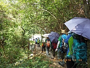pic_Wai_142.jpg (565221 bytes)