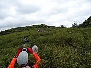 P8140108.JPG (342859 bytes)