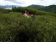 P8140109.JPG (469127 bytes)
