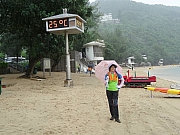 P8210025.JPG (344237 bytes)