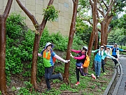 P8210043.JPG (477871 bytes)