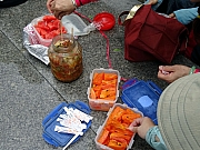 P8210069.JPG (404614 bytes)