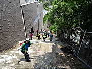 P8210083.JPG (549511 bytes)