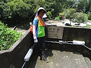 P8210085.JPG (530799 bytes)