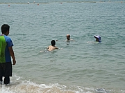 P8210087.JPG (282477 bytes)