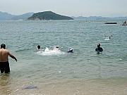 P8210089.JPG (262925 bytes)