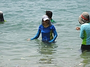 P8210092.JPG (256078 bytes)