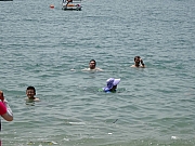 P8210096.JPG (305432 bytes)