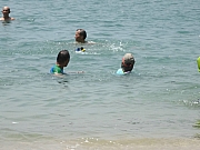 P8210105.JPG (174297 bytes)
