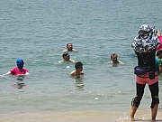 P8210110.JPG (254475 bytes)
