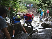 P8280018.JPG (388169 bytes)