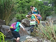 P8280035.JPG (483260 bytes)