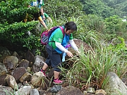 P8280038.JPG (485239 bytes)
