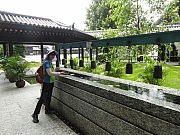 P9040075.JPG (432183 bytes)