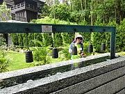 P9040076.JPG (514886 bytes)