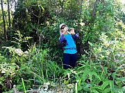 P9180027.JPG (597203 bytes)